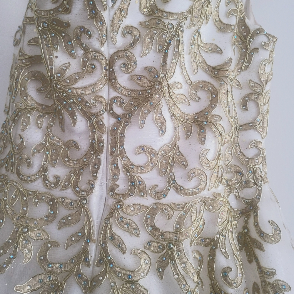 Prom Dress - Picture 3 of 5